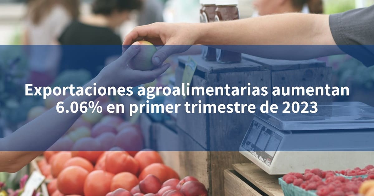 Exportaciones Agroalimentarias Aumentan 6 06 En Primer Trimestre De